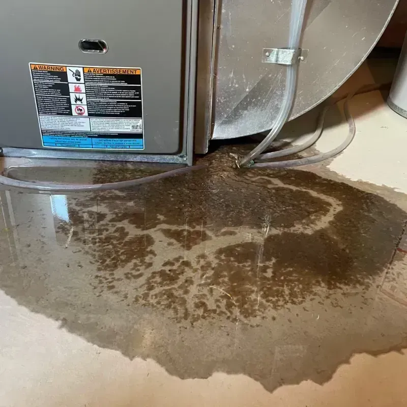 Appliance Leak Cleanup in Pontoon Beach, IL